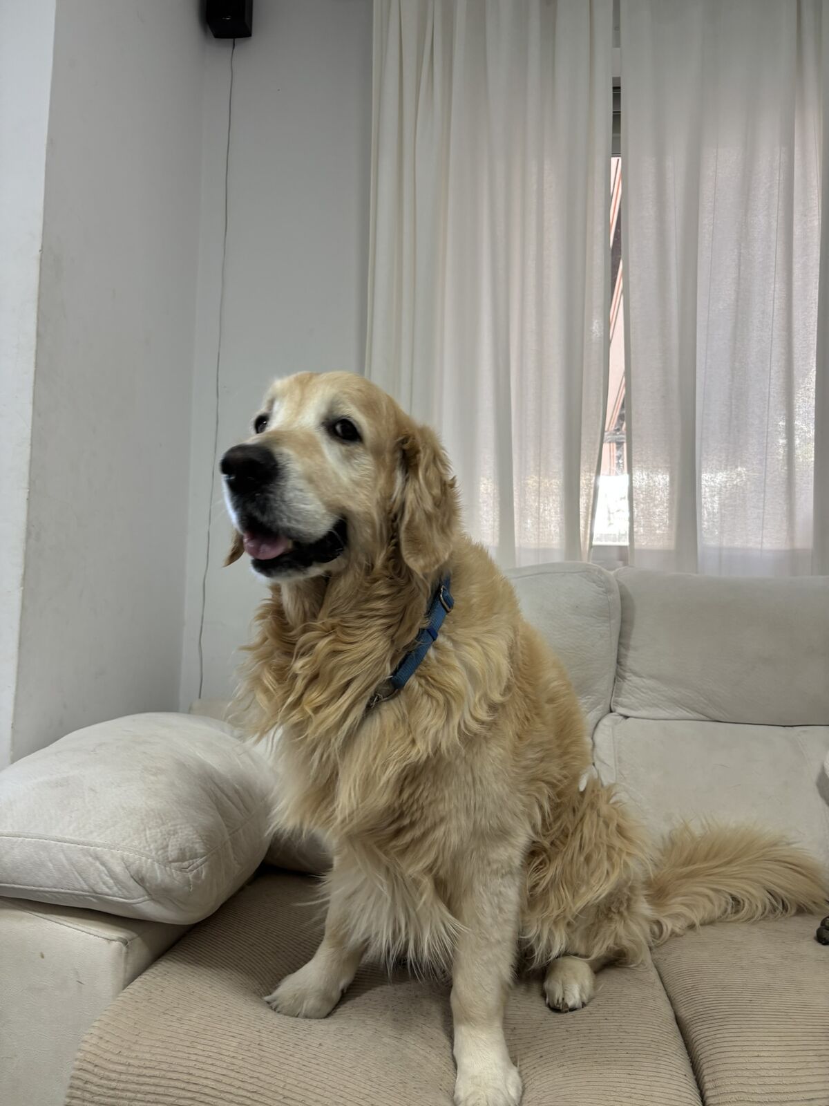 Descanso y vida de casa